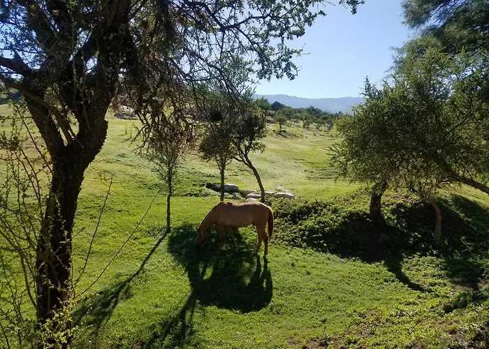 La Toscana Casas Y Suites