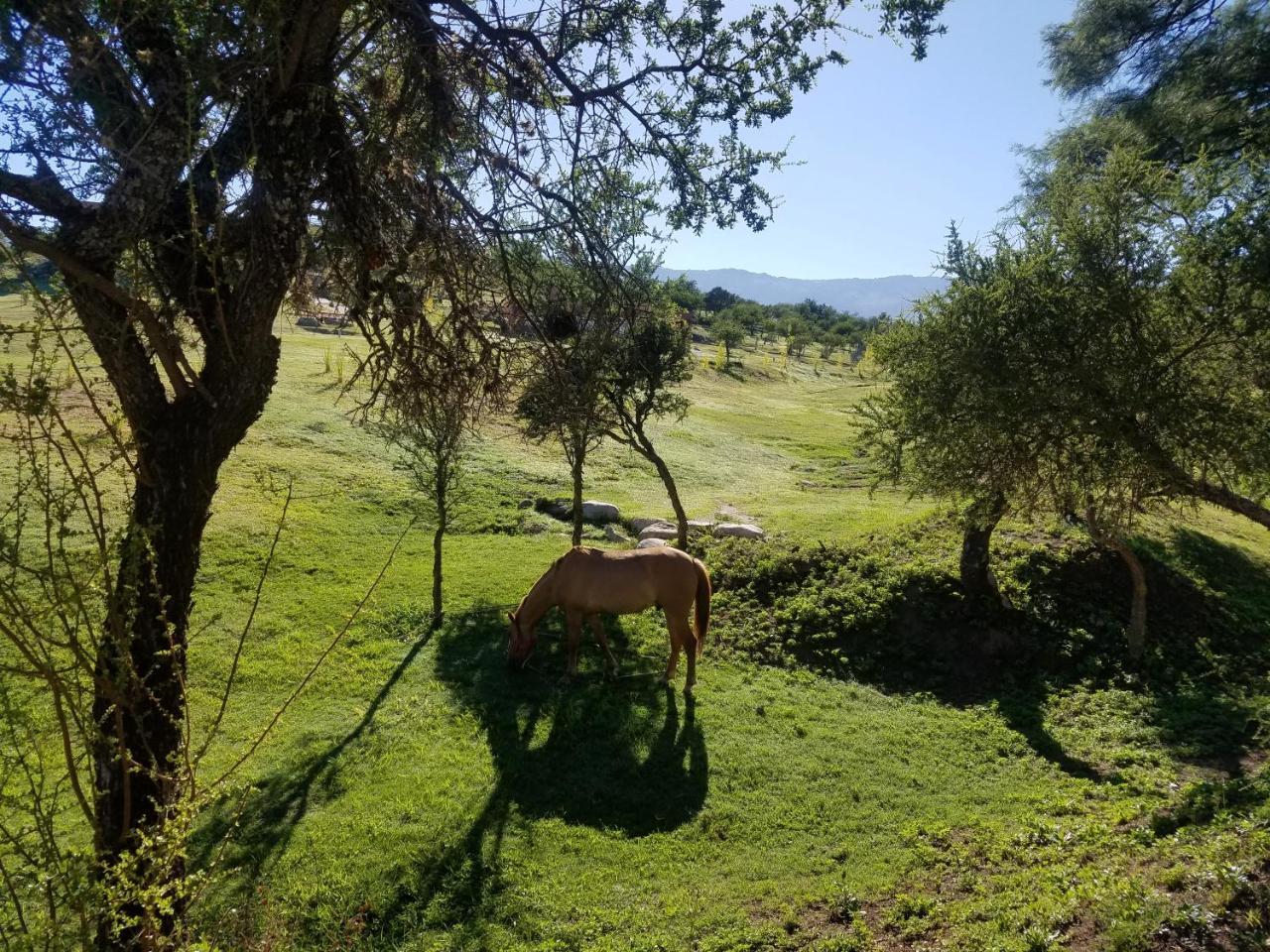 La Toscana Casas Y *